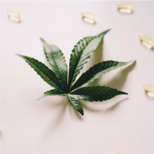 CBD Muscle Balm