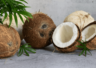 Coconut Fragrance