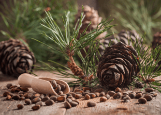 Noir Oak & Cedarwood CONC Fragrance Oil