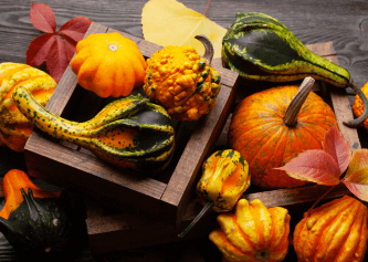 Pumpkin Spice Fragrance