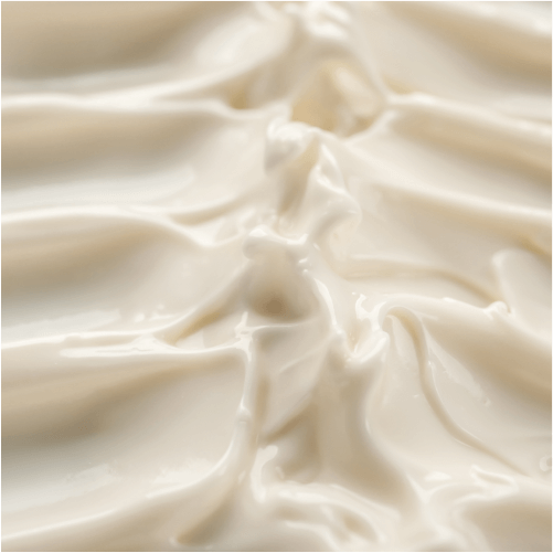Rich Body Custard