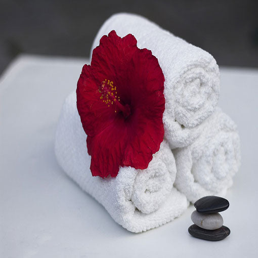 Spa Bath Salts with Rhassoul Clay
