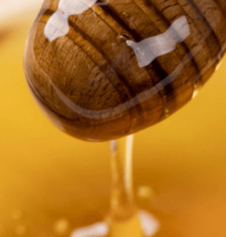 Honey Rich Moisturiser