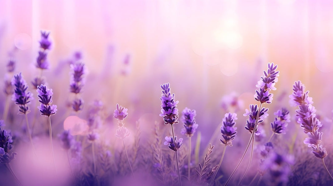 Plant power: The benefits of using essential oils