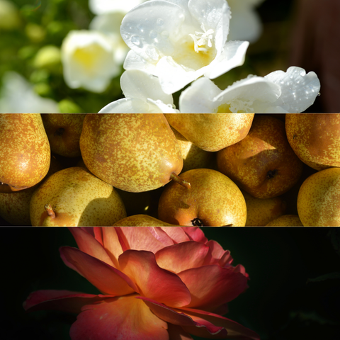 English Pear & Freesia Fragrance