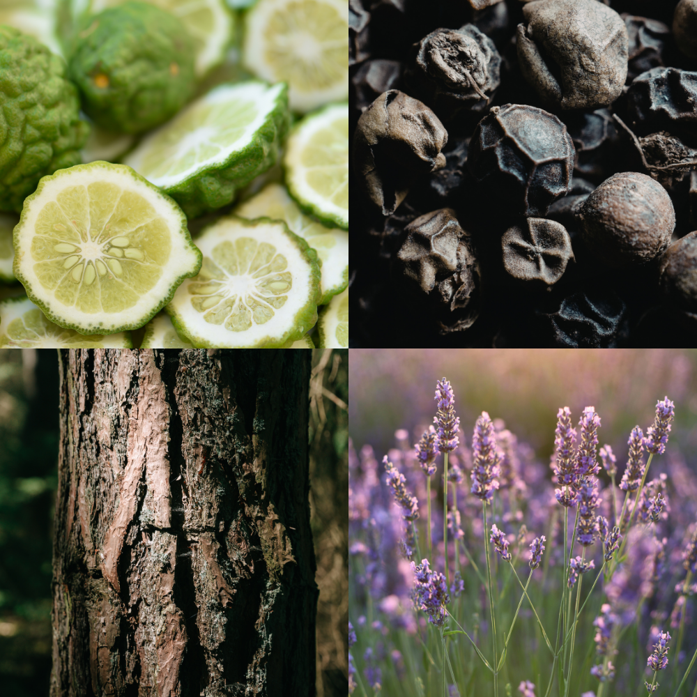 Pepperburst Bergamot Fragrance