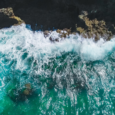 Sage & Sea Salt Fragrance