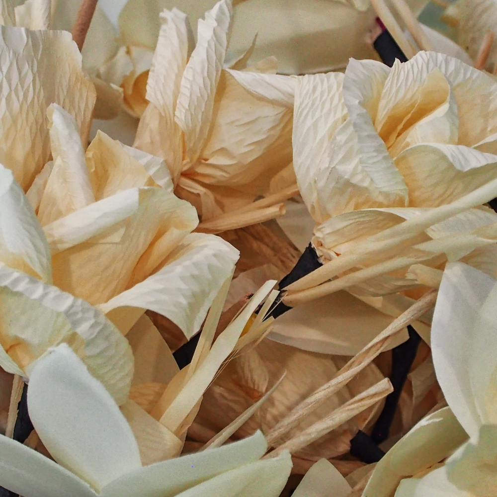 Sandalwood & Black Pepper Fragrance