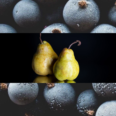 Life is Beautiful Fragrance