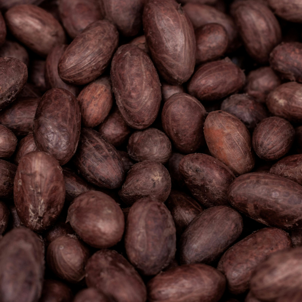 Whipped Cocoa Body Butter