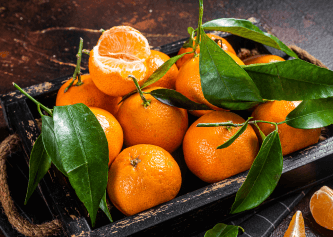 Orange & Grapefruit Mojito Fragrance 