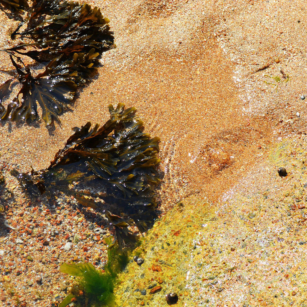 Sea Kelp and Green Clay Bath Salts 